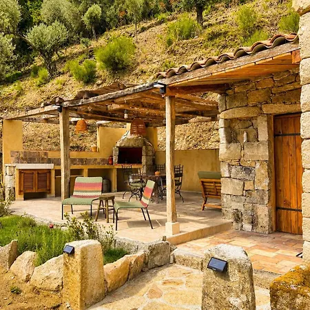 Domaine Marcellesi Bergerie De Pio Au Coeur D Oliverai Seculaire Vue Sur Les Aiguilles De Bavella *