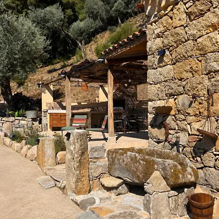 펜션 Domaine Marcellesi Bergerie De Pio Au Coeur D Oliverai Seculaire Vue Sur Les Aiguilles De Bavella *