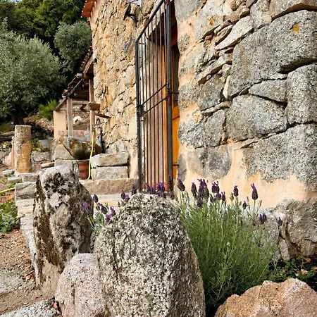 Domaine Marcellesi Bergerie De Pio Au Coeur D Oliverai Seculaire Vue Sur Les Aiguilles De Bavella