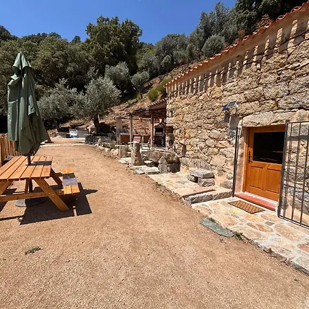 Domaine Marcellesi Bergerie De Pio Au Coeur D Oliverai Seculaire Vue Sur Les Aiguilles De Bavella 펜션