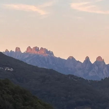 Domaine Marcellesi Bergerie De Pio Au Coeur D Oliverai Seculaire Vue Sur Les Aiguilles De Bavella Zoza
