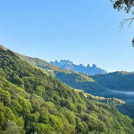 펜션 Domaine Marcellesi Bergerie De Pio Au Coeur D Oliverai Seculaire Vue Sur Les Aiguilles De Bavella