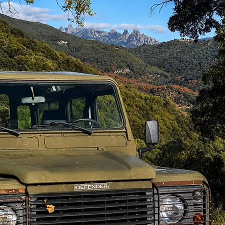 Domaine Marcellesi Bergerie De Pio Au Coeur D Oliverai Seculaire Vue Sur Les Aiguilles De Bavella Zoza