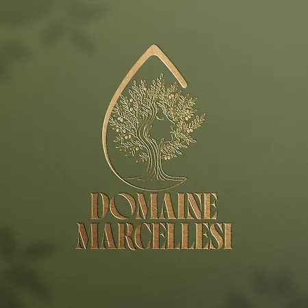 Domaine Marcellesi Bergerie De Pio Au Coeur D Oliverai Seculaire Vue Sur Les Aiguilles De Bavella Zoza